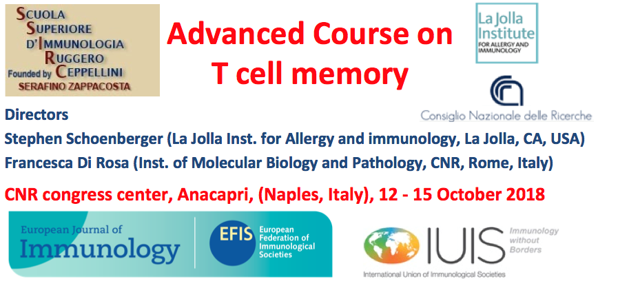 T cell memory