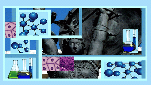 EPI1° Meeting, 'Novel Drugs, chromatin Modulators from basic Research to human disease'